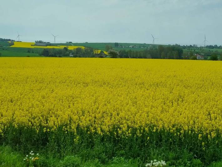 Ferienhaus für 4 Personen, mit Terrasse und Garten, kinderfreundlich in Marstal - 3