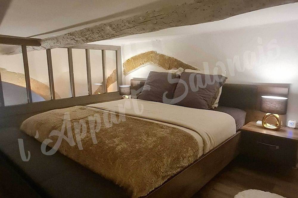 70m2 apartment with private jacuzzi 400m from the Chateau de l'Emperi in Salon-de-Provence, Region de Aix-en-Provence