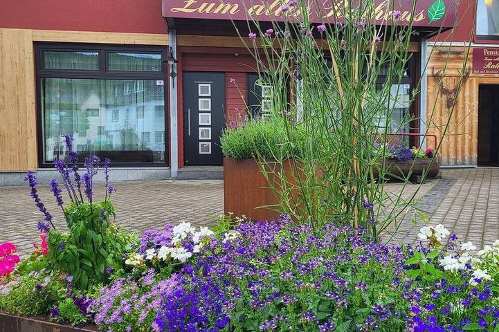 Ferienwohnung für 4 Personen in Gemünd - 2