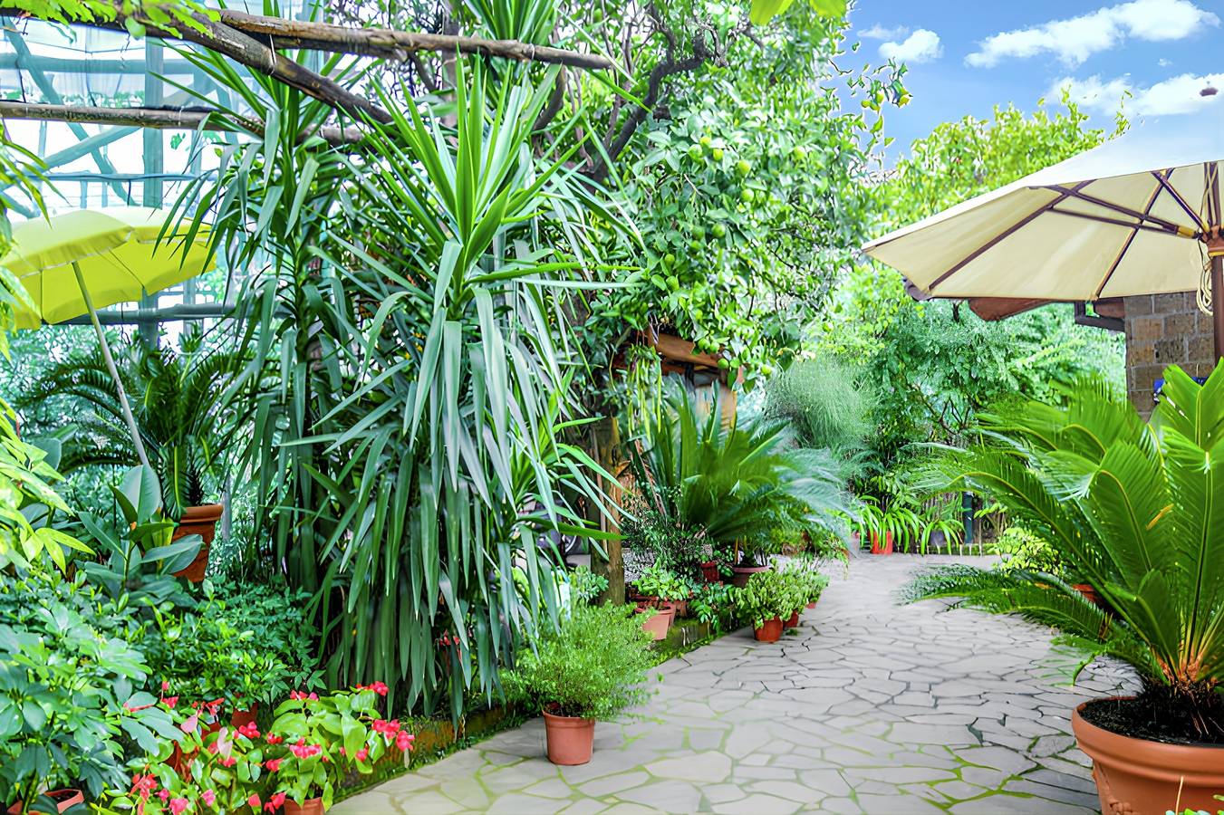 Ganzes Studio, Charmantes Studio mit Meerblick in Sorrento - 35 qm + Terrasse in Sorrent, Neapel Provinz