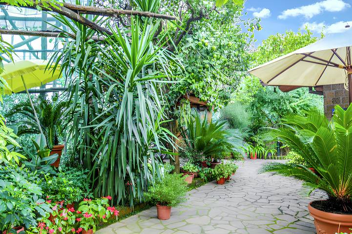 Vacation rental for 3 people, with terrace in Sorrento