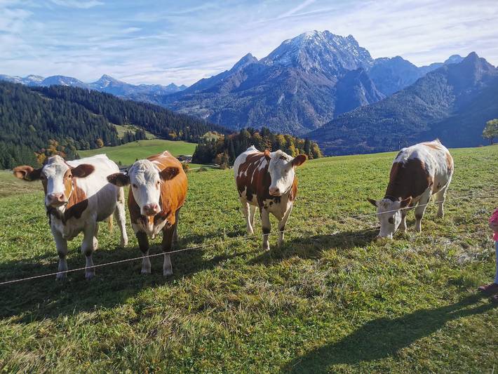 Bauernhaus für 2 Personen, mit Garten und Terrasse, mit Haustier im Berchtesgadener Land - 3