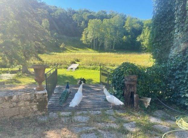 Gîte pour 6 personnes, avec piscine et jardin dans Côte-d'Or - 3