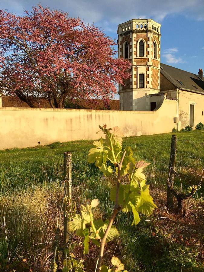 Location de vacances pour 4 personnes, avec jacuzzi et jardin à Mosnes - 4