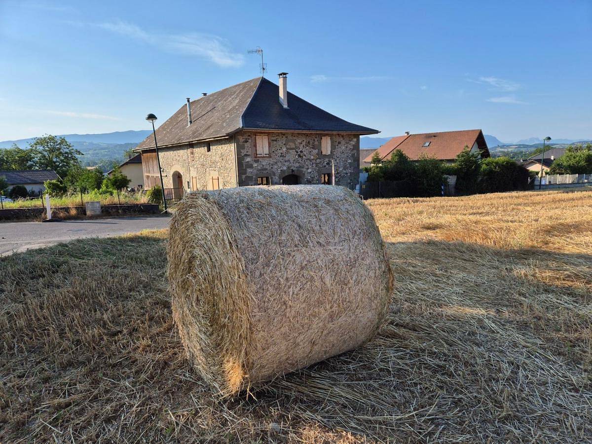 Appartement entier, Gite Chambre Spa Privé De L'Ancienne Ferme in Vallières, Région d'Annecy