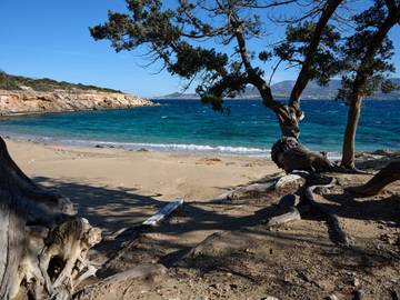 Villa pour 14 Personnes dans Unité régionale de Paros, Photo 4