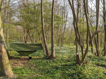 Ferieudlejning til 14 Personer i Fåborg, Lillebælt, Billede 4
