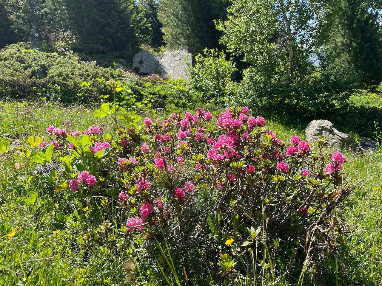 Apartamento entero, Parque natural de la Vanoise - Maurienne in Orelle, Massif de la Vanoise