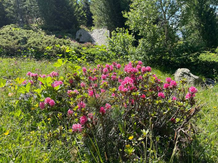 Appartement entier, Parc naturel de la vanoise- Maurienne in Orelle, Massif de la Vanoise
