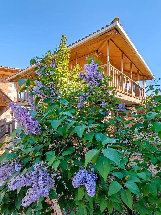 Chalet para 32 personas, con jacuzzi además de piscina y jardín en Provincia de Toledo - 4