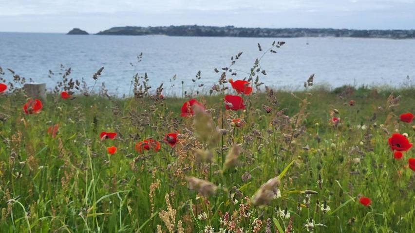 Parc de vacances pour 8 personnes, avec jardin ainsi que sauna et piscine à Locmaria-Plouzané - 2