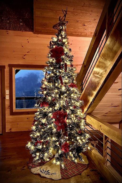 Luxury Cabin, Incredible View, Amazing Sunrise & Sunset, Secluded, Pet Friendly in Cherry Log, Chattahoochee National Forest