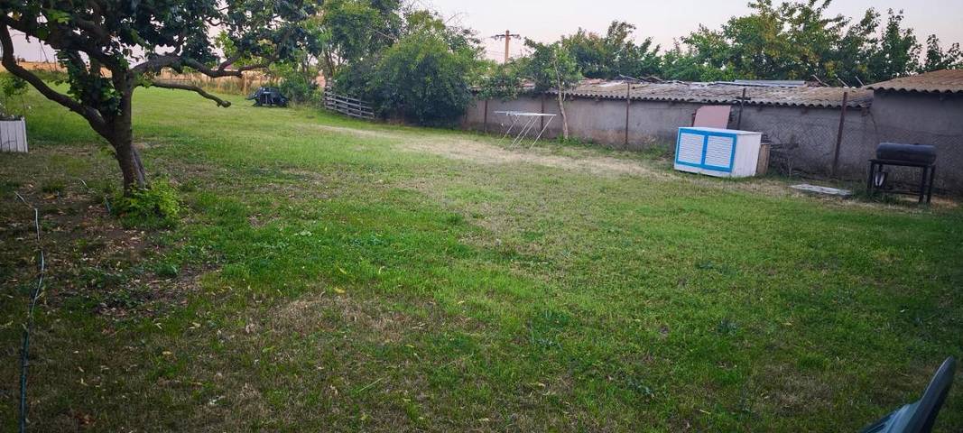 Maison d’hôte pour 5 personnes, avec Terrasse et Jardin dans Constanța - 2