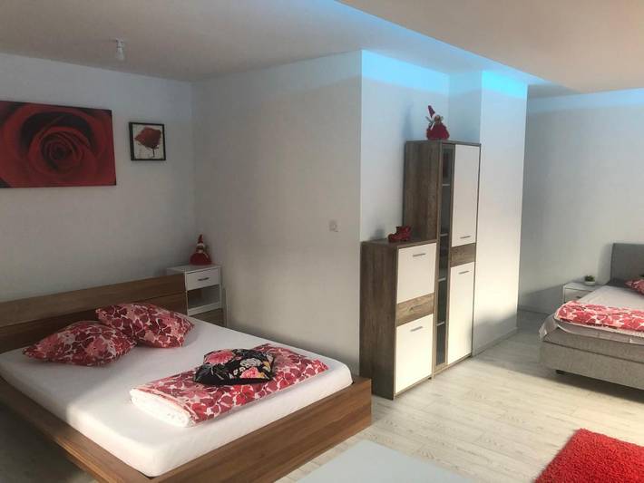 Gîte pour 4 personnes, avec Vue à Niederschaeffolsheim - 4