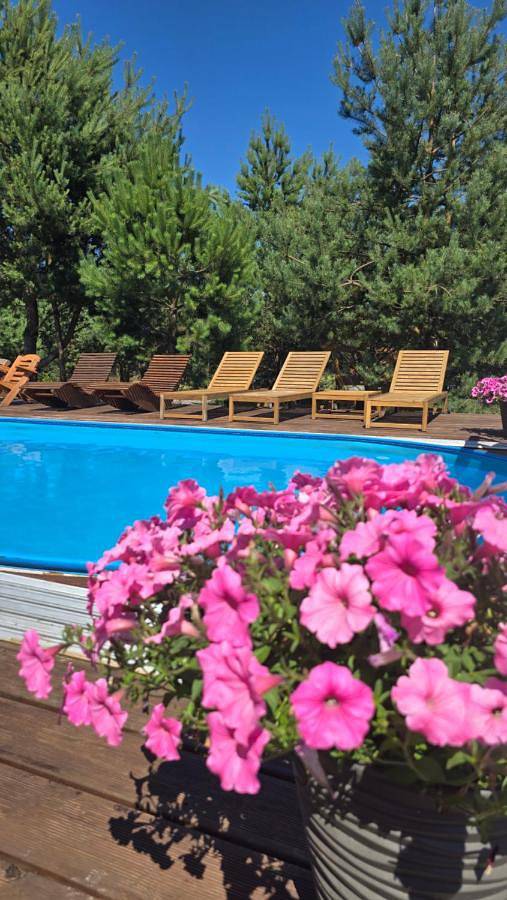 Ośrodek wypoczynkowy dla 4 osób, z Taras i Jacuzzi oraz Ogród i Basen w Mazowsze