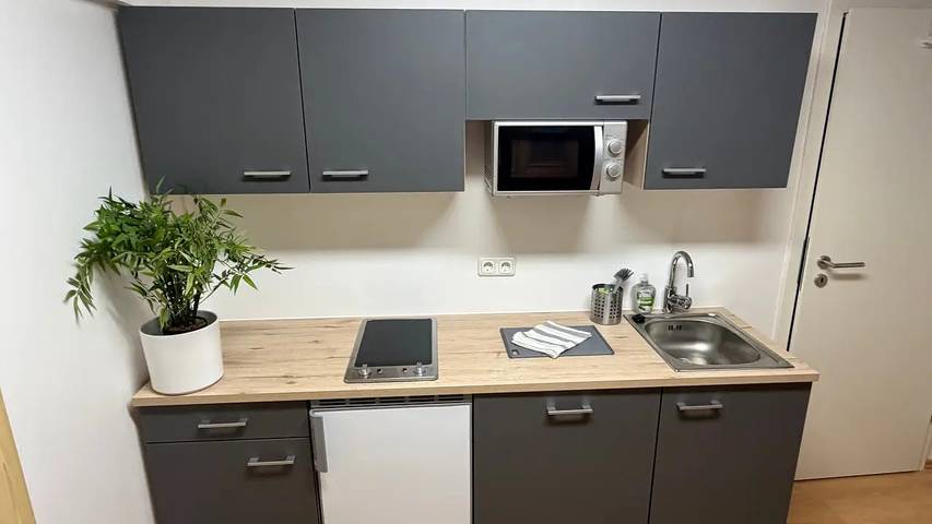 Gîte pour 8 personnes, avec jardin, animaux acceptés à Penzberg - 4