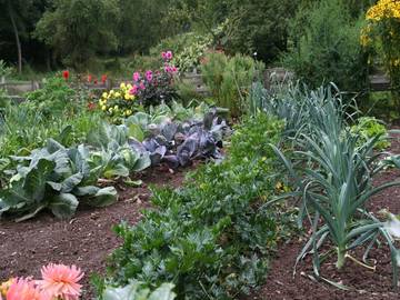 Bauernhof für 3 Personen in Lennestadt, Sauerland, Bild 4