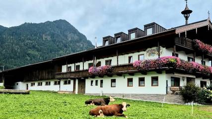 Vakantiewoning voor 10 Personen in Reith im Alpbachtal, Ski Juwel Alpbachtal Wildschönau, Afbeelding 3