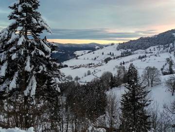 Ferienwohnung für 4 Personen in Suedlicher Schwarzwald, Wieden, Bild 2