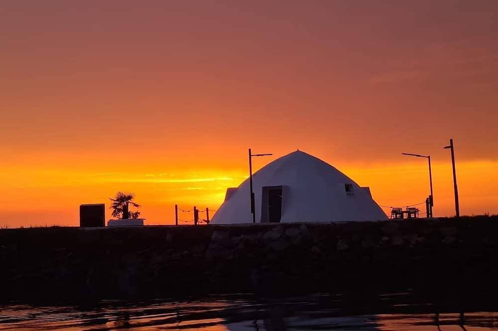 Natureza ,experiência a 5 minutos de Aveiro in Ria de Aveiro, Aveiro