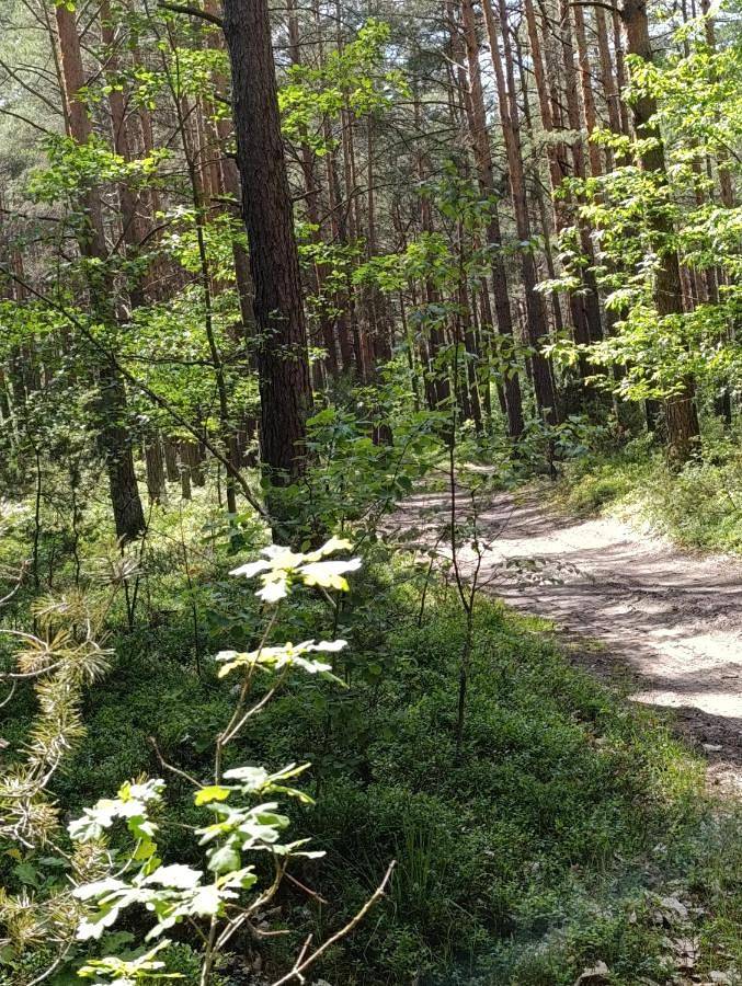 Apartament wakacyjny dla 6 osób, z ogród i balkon w Tykocin