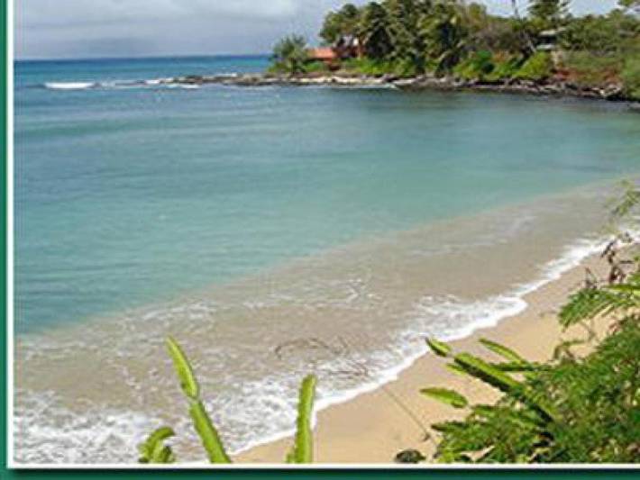 Chambre d’hôte pour 2 personnes, avec vue et jardin dans États-Unis - 4