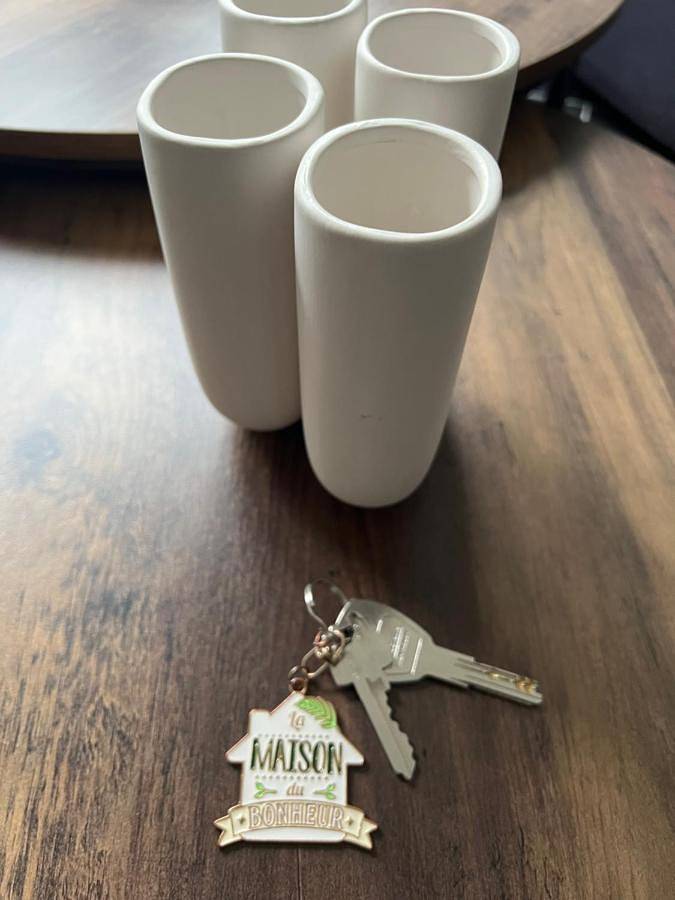 Gîte pour 5 personnes, avec terrasse, animaux acceptés à Sequedin - 2