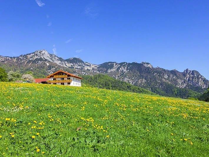 Ferienhaus für 3 Personen, mit Sauna und Garten, kinderfreundlich in Bischofswiesen - 4