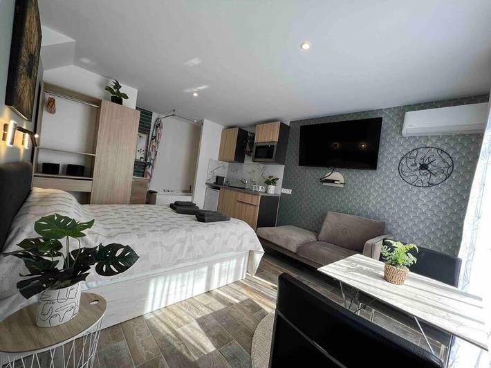 Gîte pour 2 personnes, avec jardin et jacuzzi à Tassin-la-Demi-Lune - 3