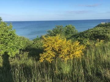 Ferieudlejning til 6 Personer i Saksild Strand, Rude Strand, Billede 1