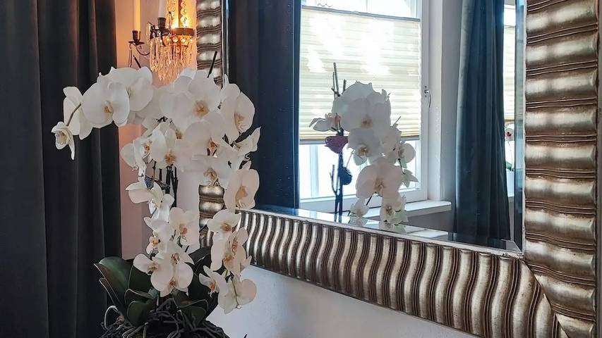 Ferienwohnung für 2 Personen, mit Garten, mit Haustier in Eckernförde - 4