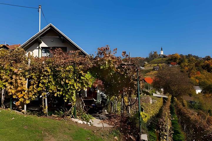 Gîte pour 2 personnes, avec jardin dans Novo mesto - 3