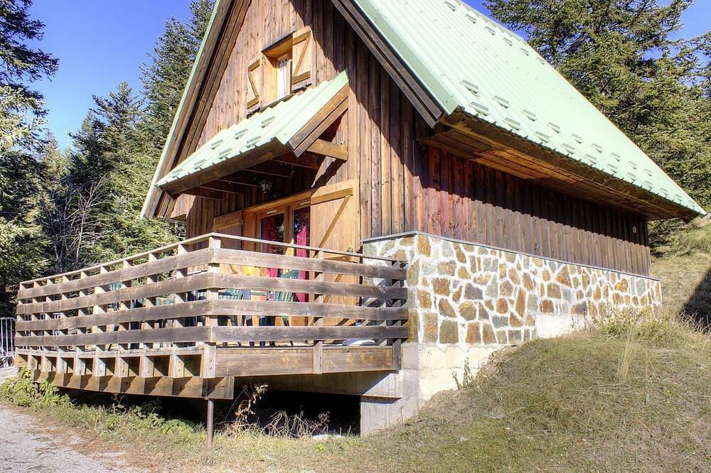 Sapin - La Bollene-Vesubie in La Bollène-Vésubie, Côte méditerranéenne (France)