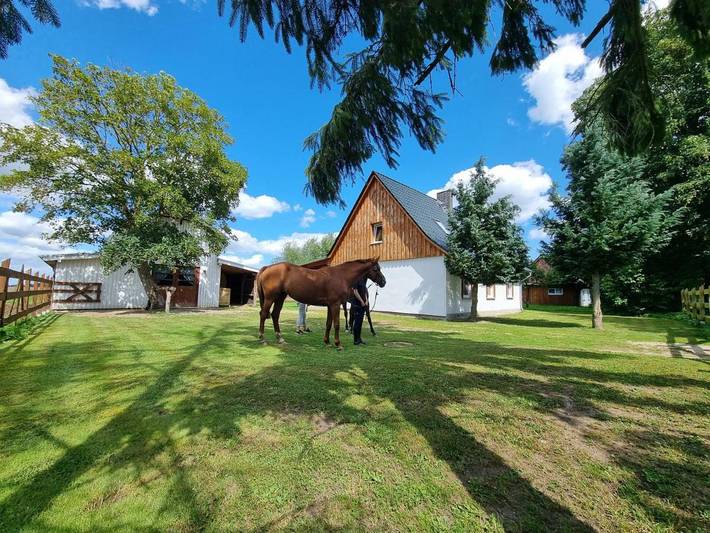 Ferienhaus für 6 Personen, mit Terrasse und Ausblick in Ducherow