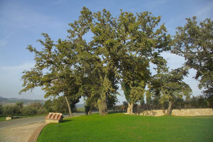 Villa pour 14 personnes, avec jardin dans Val d'Orcia - 4