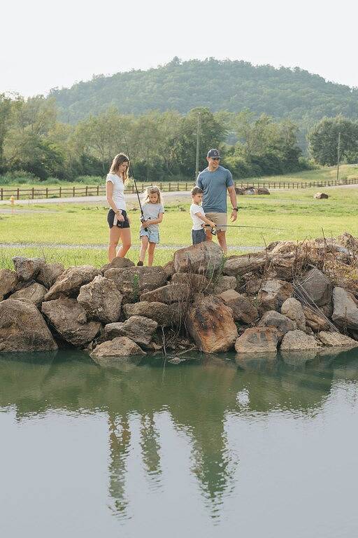 Vacation rental for 12 people, with yard in Wears Valley