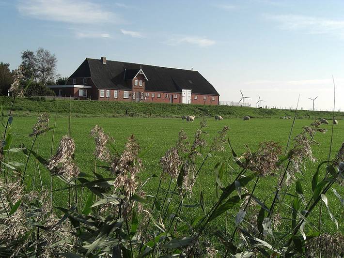 Ferienhaus für 2 Personen, mit Terrasse und Garten in Langenhorn