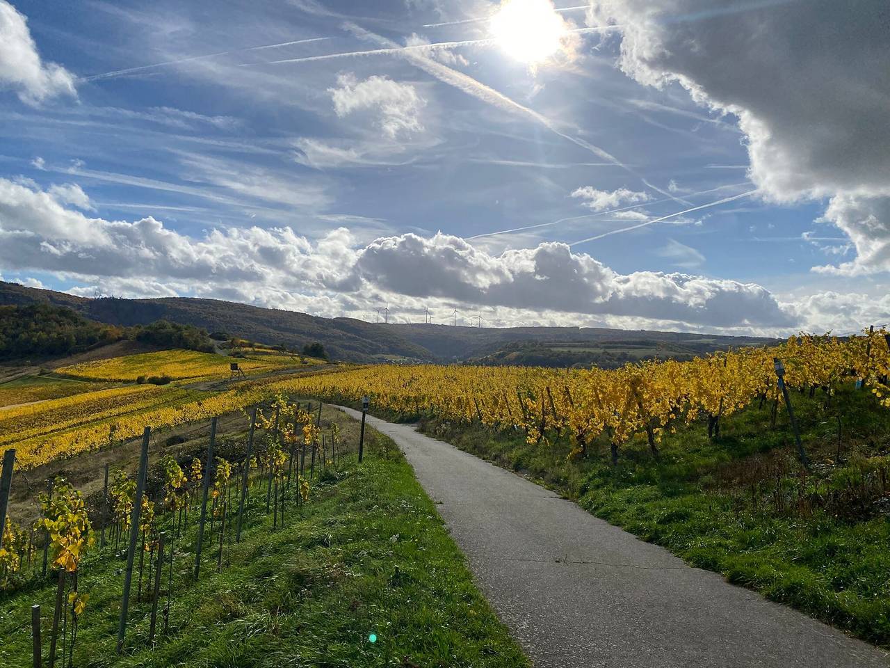 Maison de vacances "Das Rote Ferienhaus Terlinden" (La maison de vacances Rote Terlinden) in Lieser, Région de Bernkastel-Kues