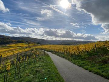 Vakantiehuis voor 6 Personen in Lieser, Moseleifel, Afbeelding 4