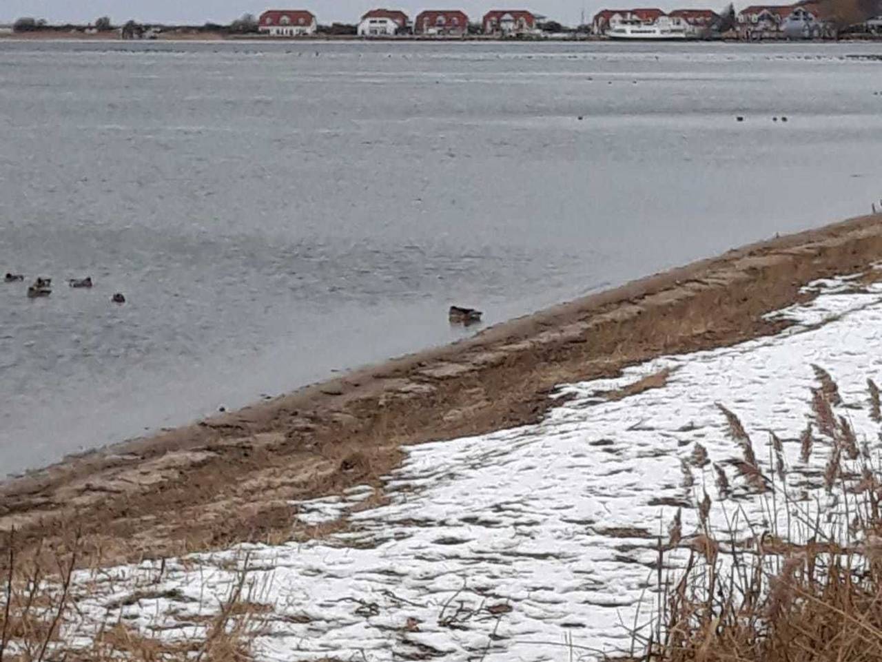 Bungalow für 2 Personen in Rerik, Mecklenburgische Ostseeküste
