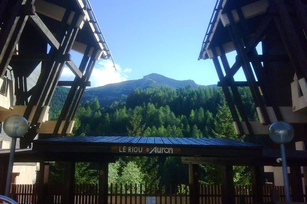 Geheel appartement, Studio hut met ondergrondse parkeergarage Auron op 50 meter van de eerste skilift in Auron, Saint-Étienne-de-Tinée