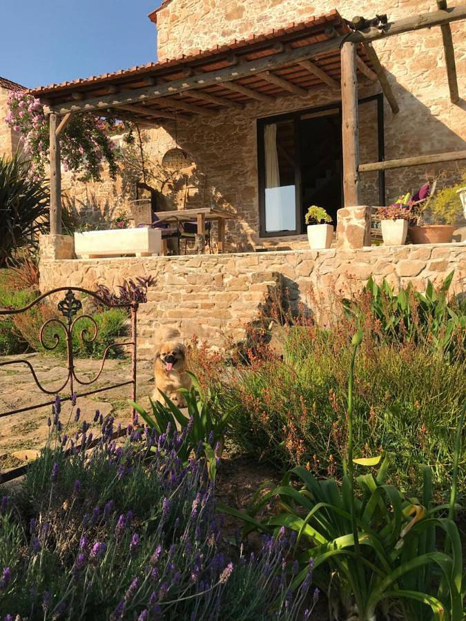 Casa rural para 2 personas, con Terraza y Jardín además de Piscina y Vistas en Alcobaça - 3