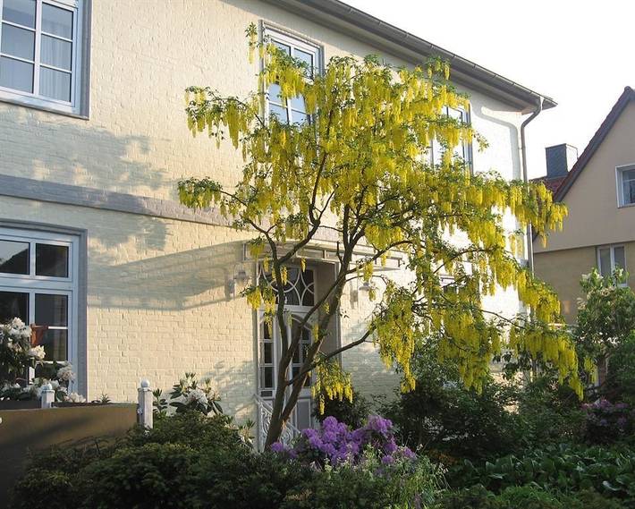 Ganze Ferienwohnung, Ferienwohnung 2 in Bad Schwartau, Ostholstein