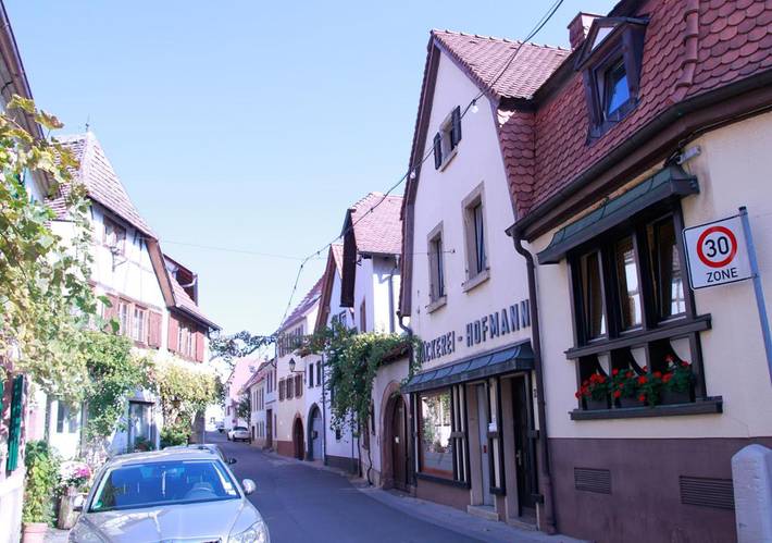 Ferienwohnung für 4 Personen, mit Ausblick in Hambach (Neustadt) - 3
