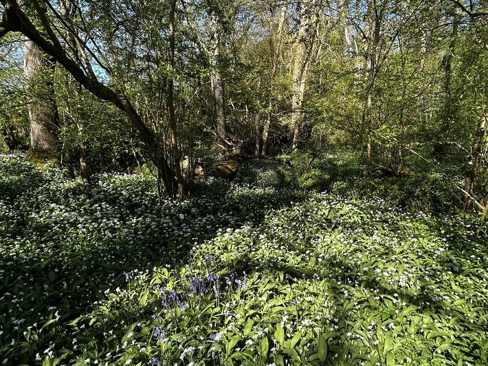 Gîte pour 4 personnes avec jardin in Mere (Wiltshire), Wiltshire