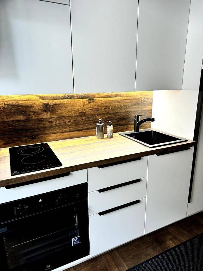 Entire apartment, One-Bedroom Apartment in Vilnius, Lithuania