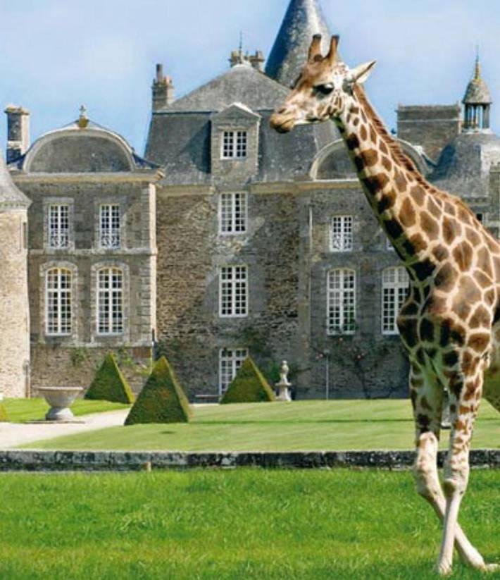 Chambre d’hôte pour 4 personnes, avec jardin à Roz-sur-Couesnon - 4