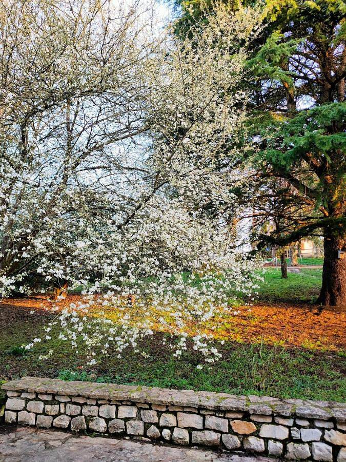 Gîte pour 3 personnes, avec jardin ainsi que vue et terrasse à Chissay-en-Touraine