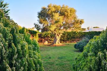 Villa in Sant Lluís, Menorca für 10 