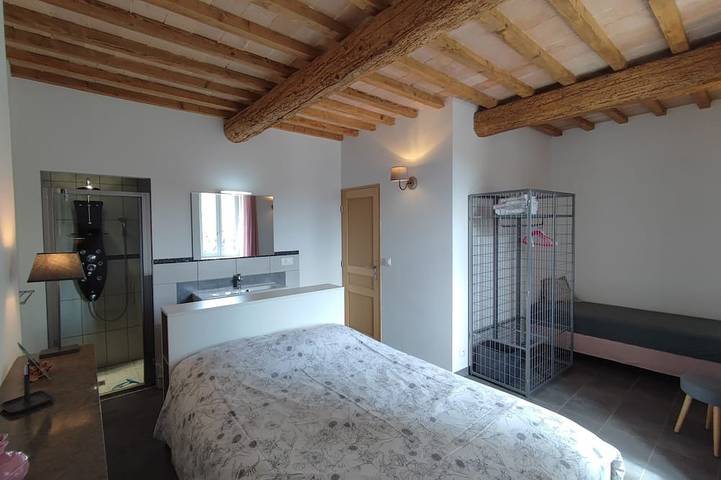 Location de vacances pour 8 personnes, avec jardin et terrasse, animaux acceptés à Richerenches - 3